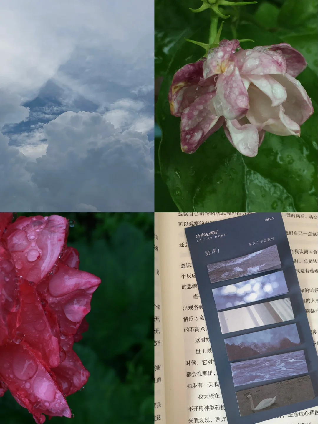 离婚就一定会过的好吗？