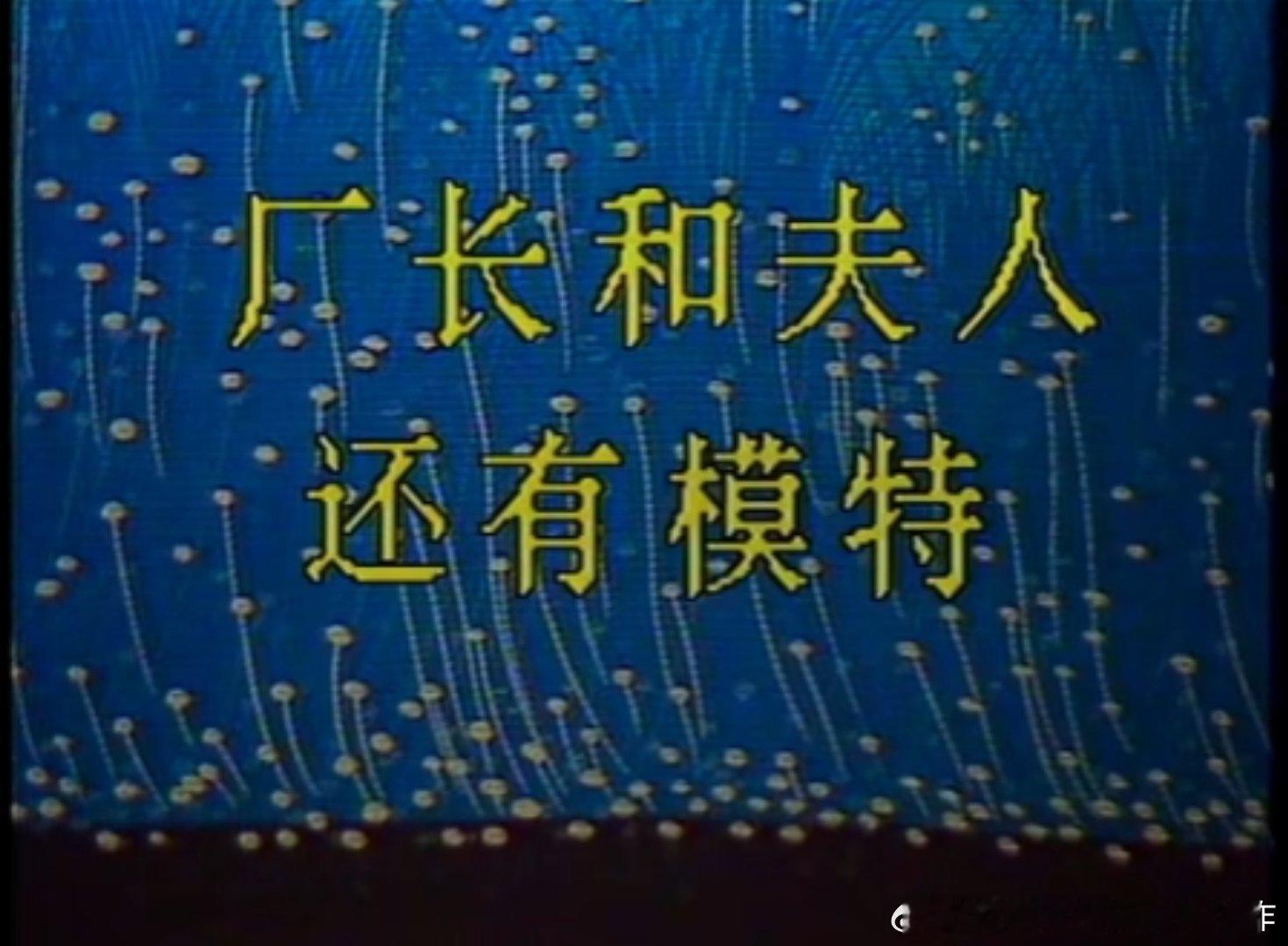 八十年代冷门电视剧，上下集还是上中下那种，看这剧的名字像是讲厂长出轨的故事……实