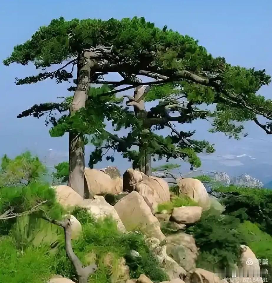 两年半了，终于又看到了老同学的笑脸。

今天周末，老同学小聚，又见到了同学中的“