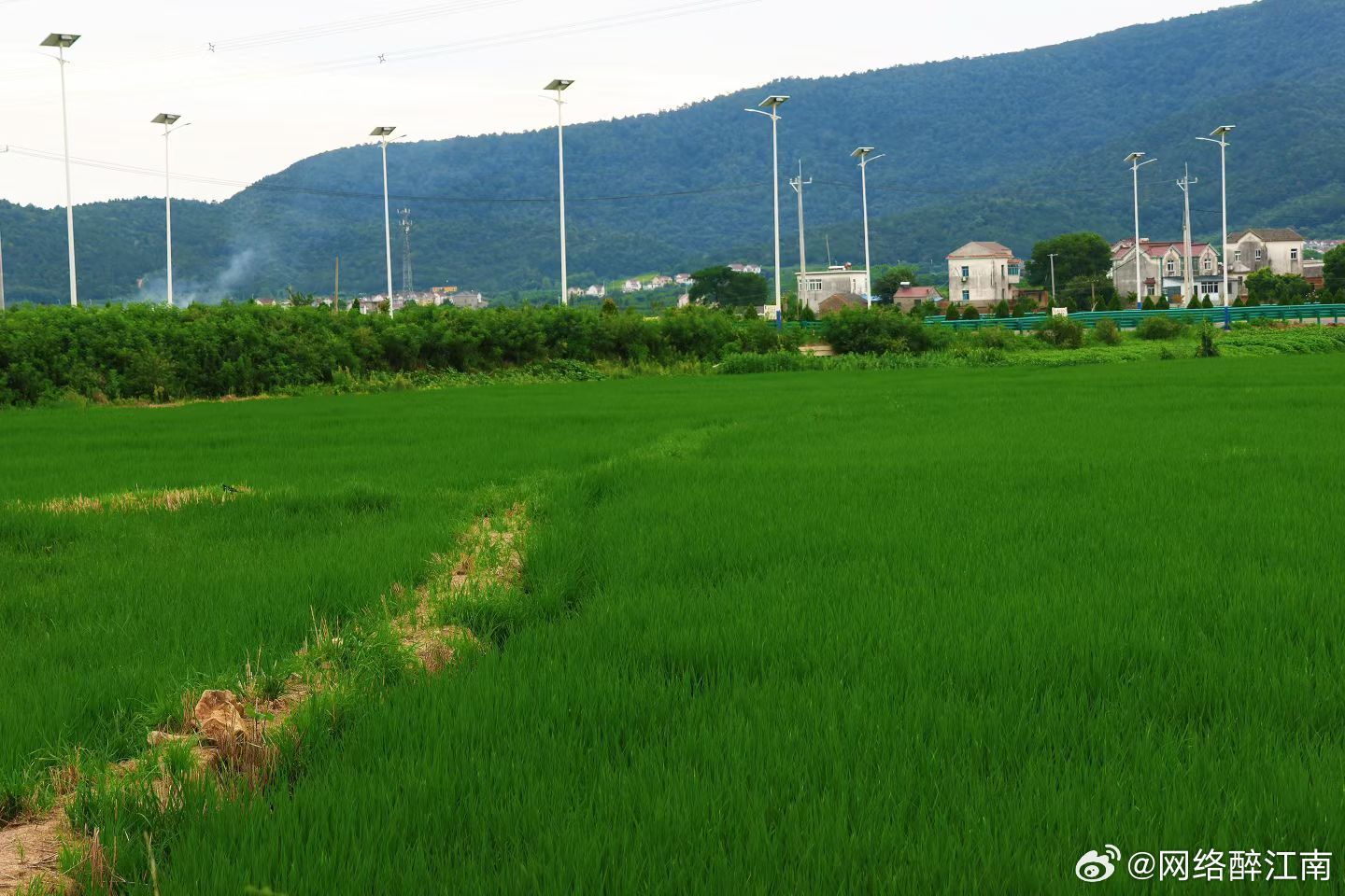 用眼睛寻找美丽 回山里住了几晚，不急着睡也不急着醒。有时醒的早了就起来在院子里坐