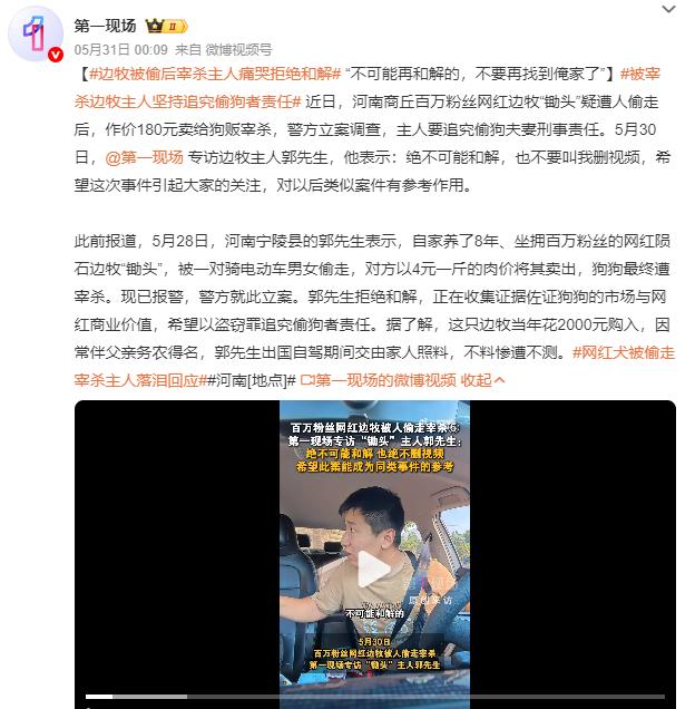 网红边牧被偷后续：偷狗人老婆处于哺乳期，躲过处罚，但偷狗人慌了，拦车试图求和，狗