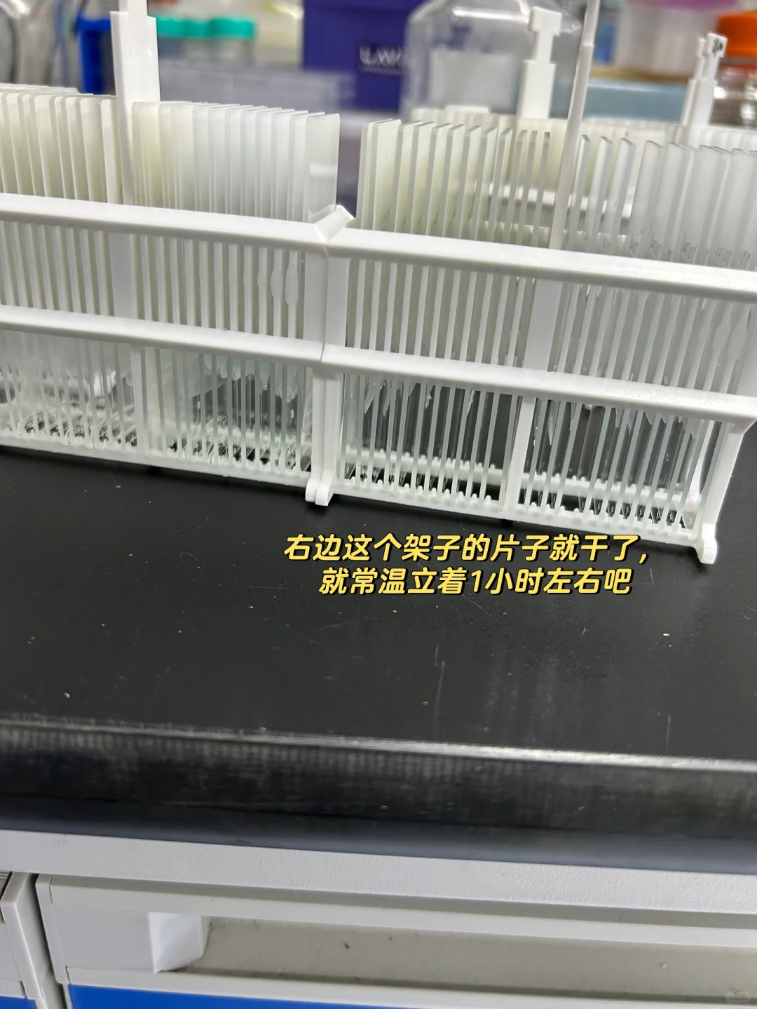 做免疫组化时如何避免组织脱片❓