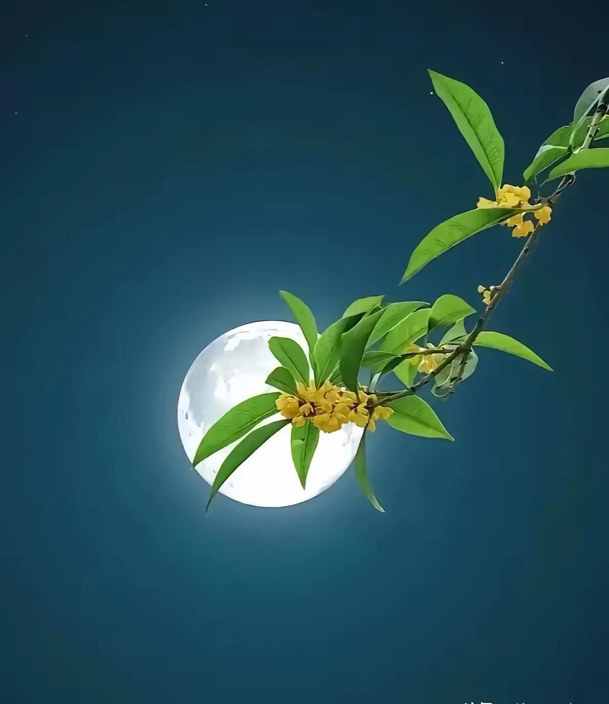 致不再年青的自己（原创）致不再年青的自己
还没怎么学会精打细算过日子，还没好好丈