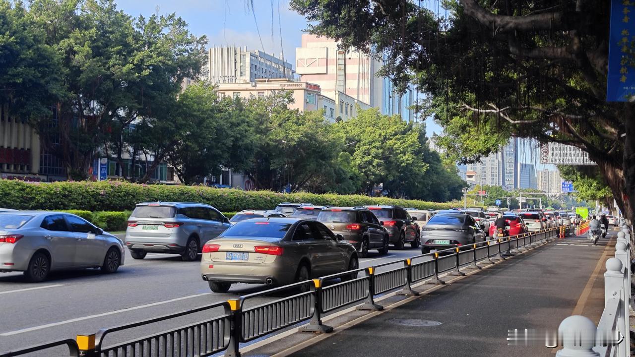 金洲这段进港大道这么搞，真的有点看不懂了，这么繁忙的路口，搞嘞一条专门的电鸡道，