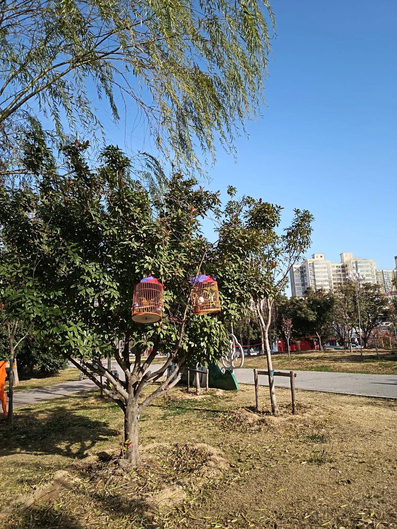 时隔三十年，故地重游。

我在这上学的时候，小城破败荒凉，从学校走很远的路，都找