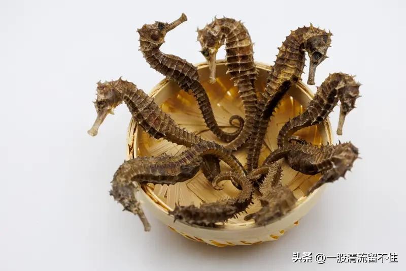 海马效应真的是记忆错乱吗? 海马效应挺神奇的，不少人都有过那种“此情此景好像在哪