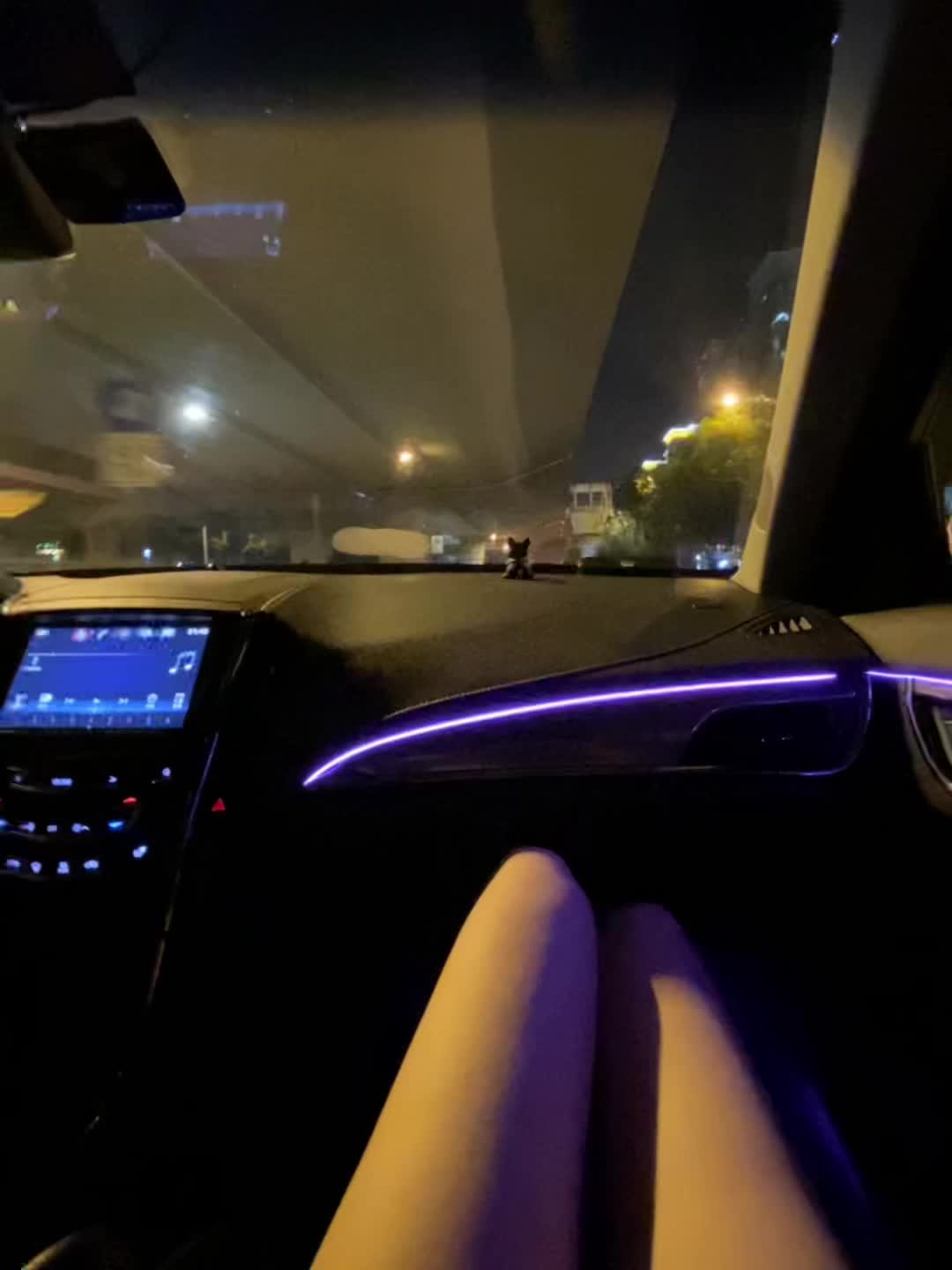 幸福就是裹满奶油的狗屎