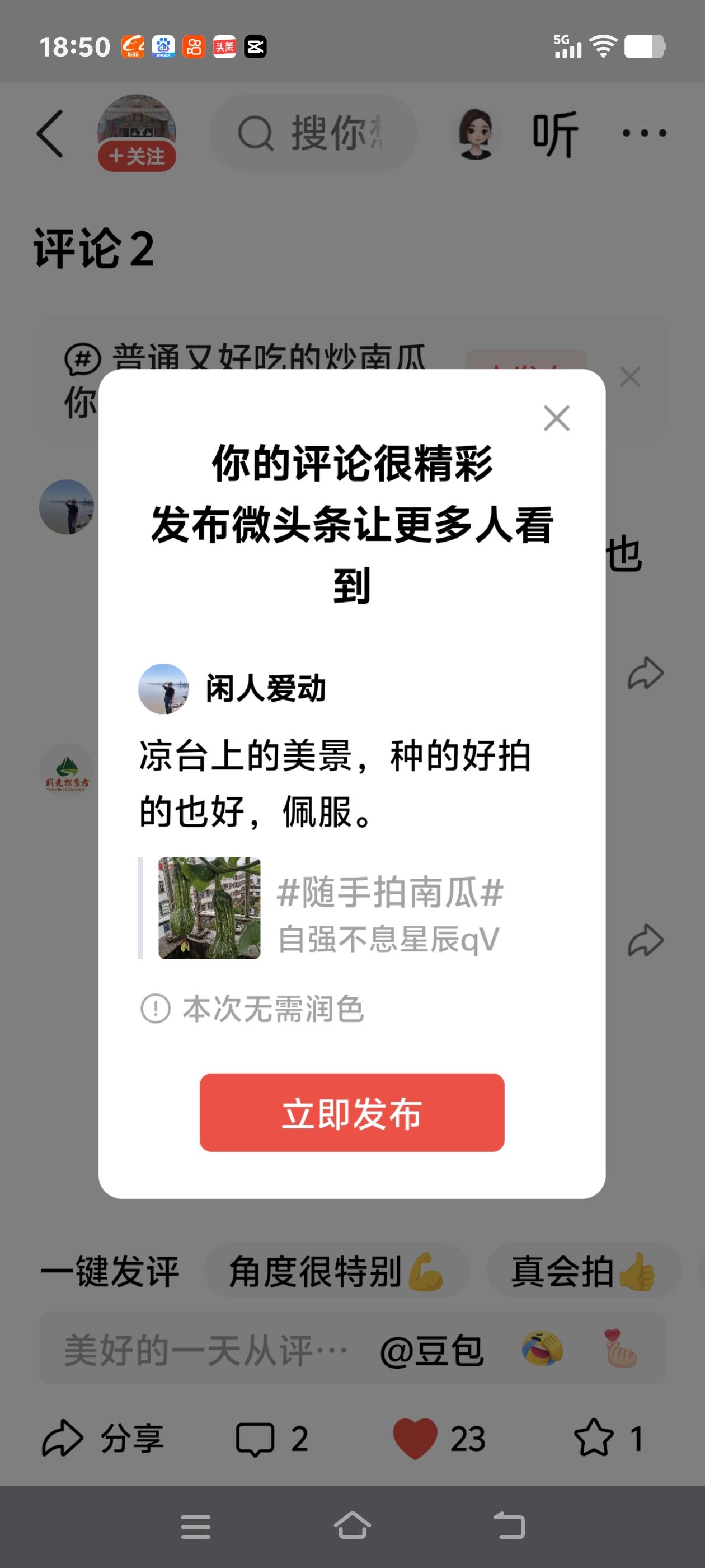 凉台上的美景，种的好拍的也好，佩服。