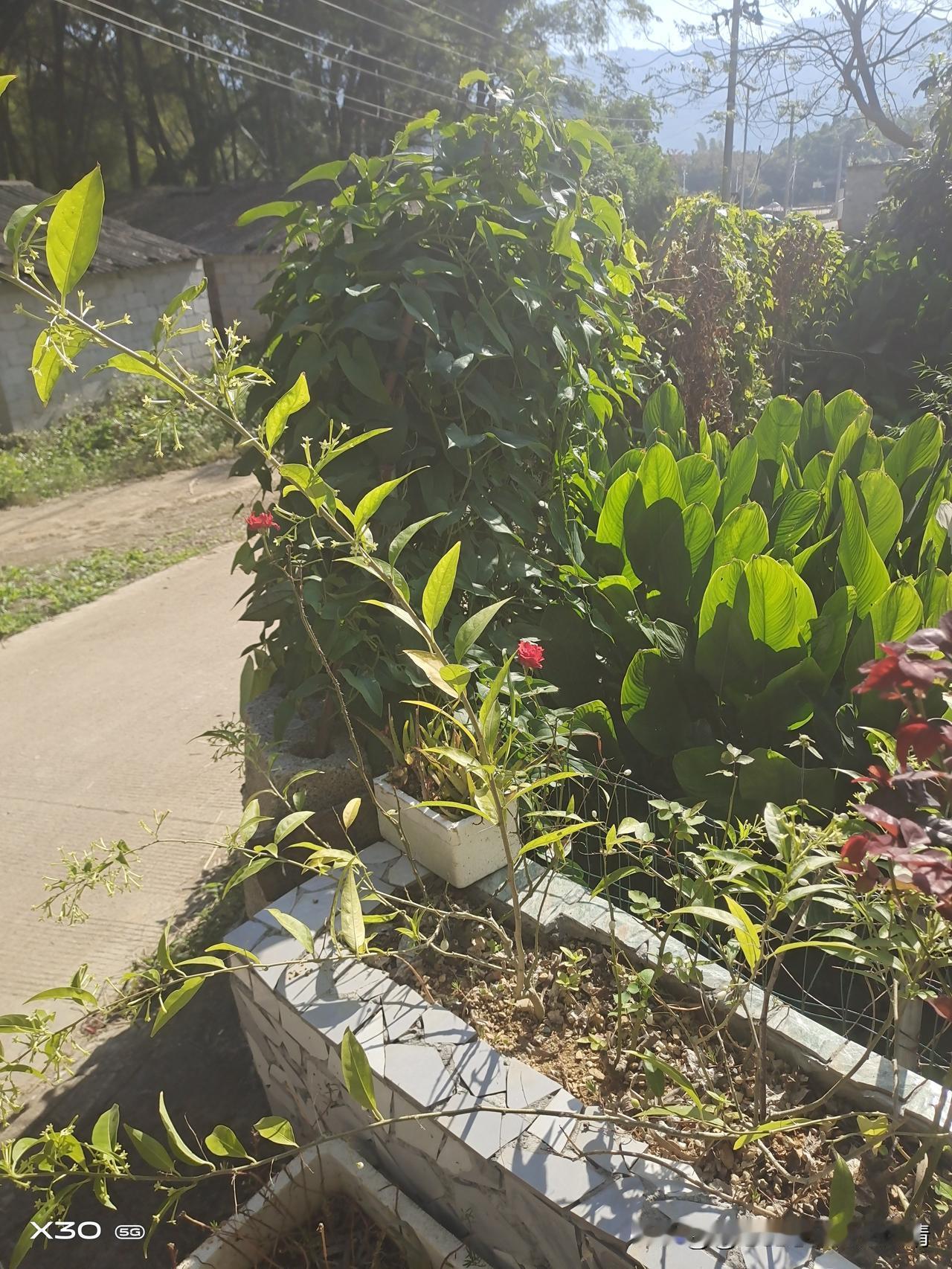 下联一：岁岁平平安安
解读：“年年”对“岁岁”，时间对仗工整。“顺利”对应事业、