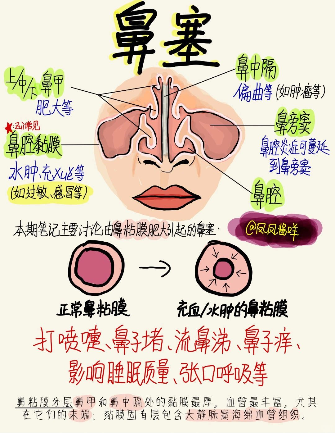 🔥健康笔记 | 鼻塞鼻敏感 建议点赞收藏