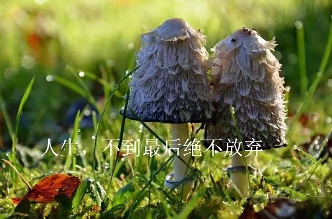 活在自己的热爱里，而不是别人的眼光里。 ​​​