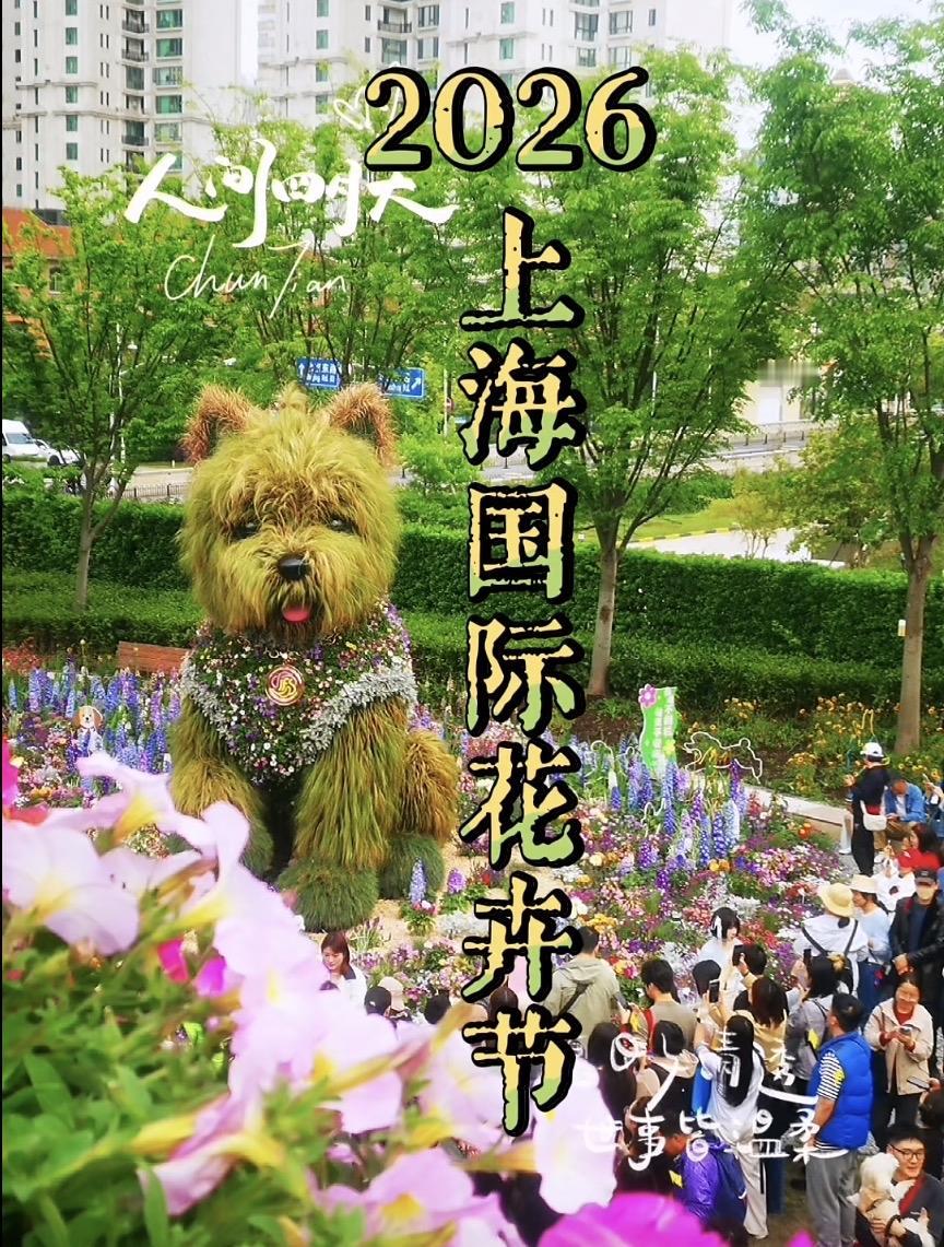 上篇
上海把春天，
编成了一只5.2米高的＂潦草小狗＂

这座城市用数万株花草，
