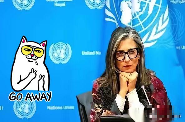 联合国里，终于来了个狠人。
一个叫阿尔巴内塞的女人，当着全世界的面，把一份报告直