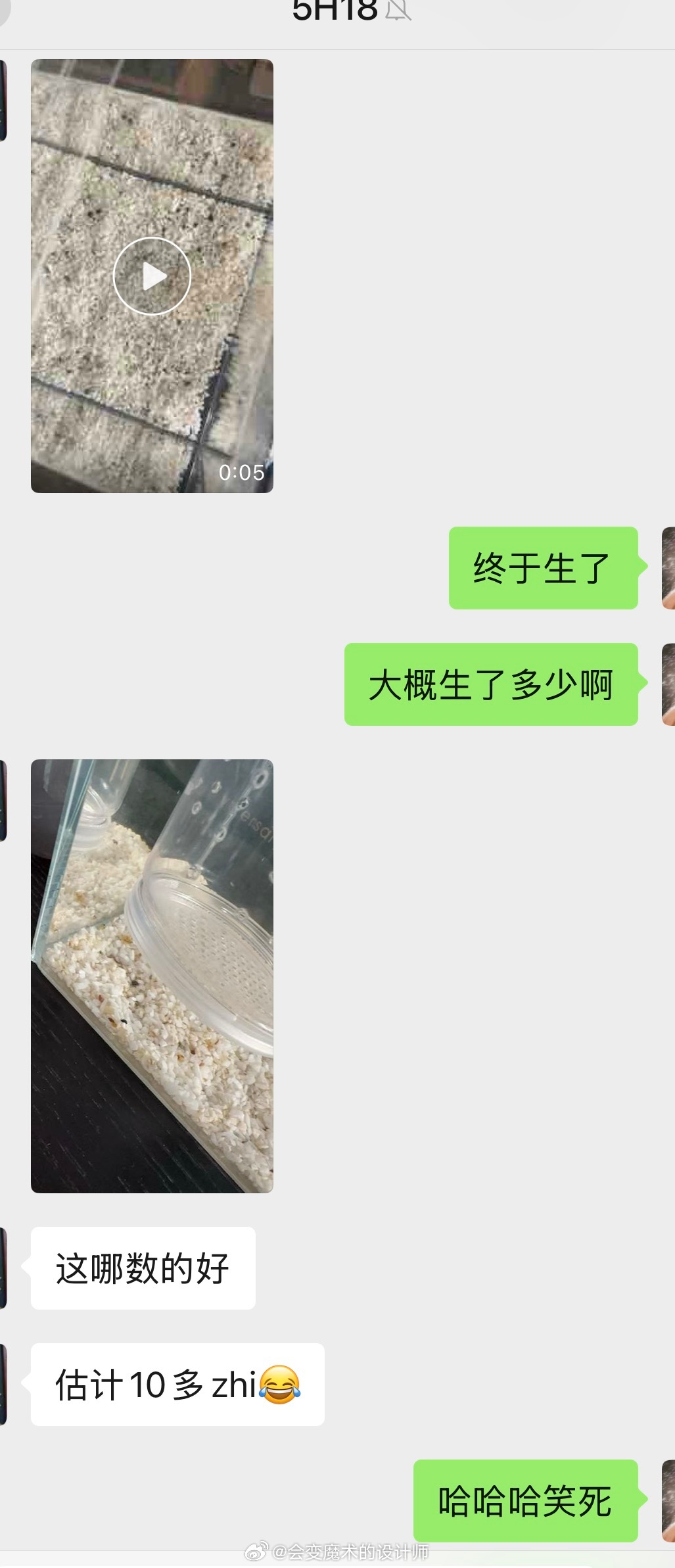 不在工作室，同时告诉我玻璃猫终于生了明天去工作室给它们整理下鱼缸 