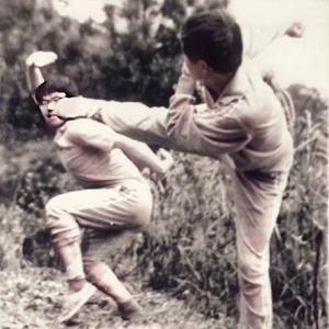 战龙述评