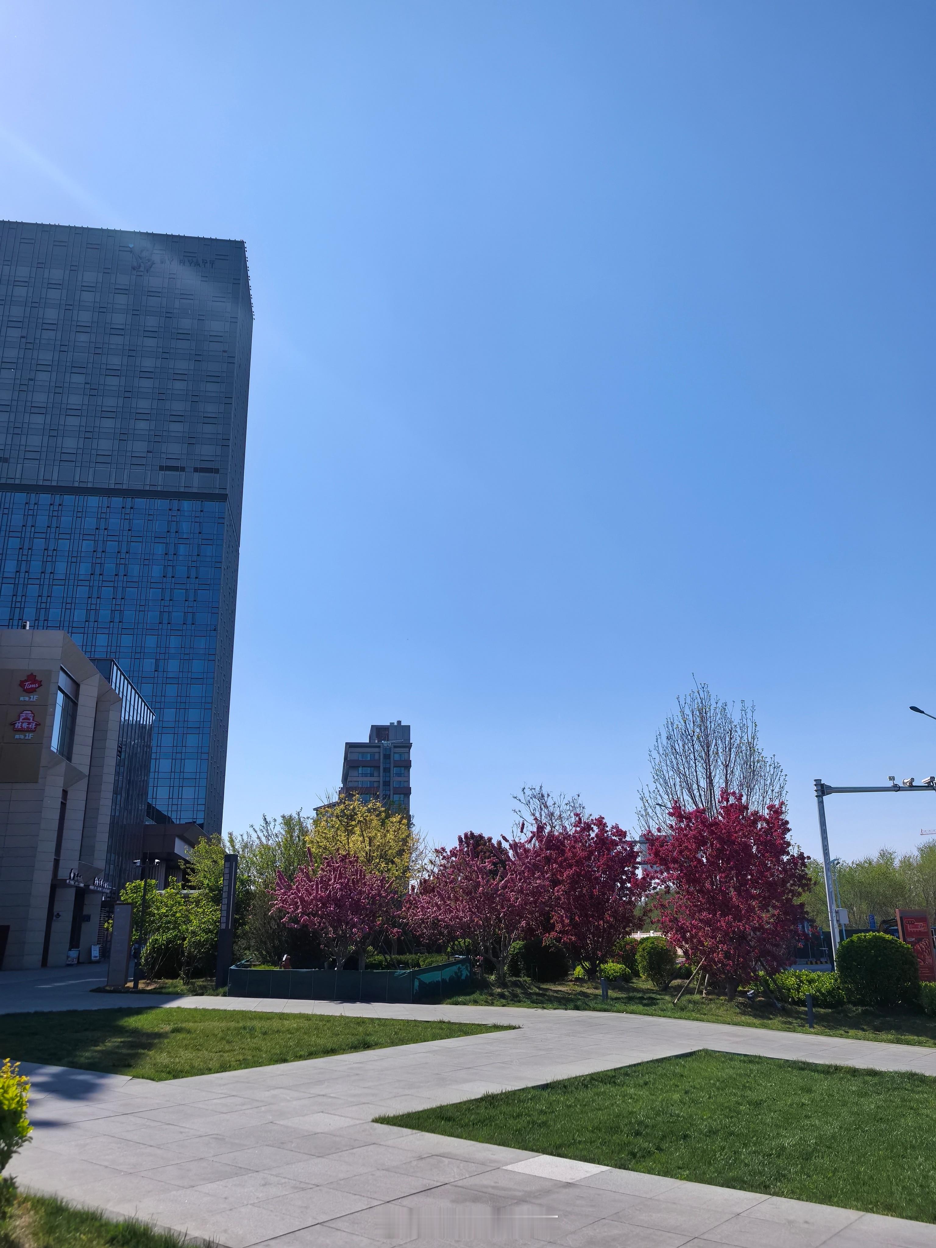 伊朗最高领袖发表最新声明停了火，但是继续放狠话，那大概率还是以谈判为主，再拖着对