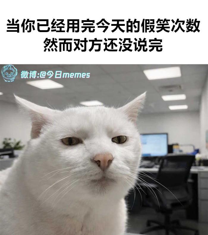 读CD了（9gag）今日meme[超话] 今日memes ​​​