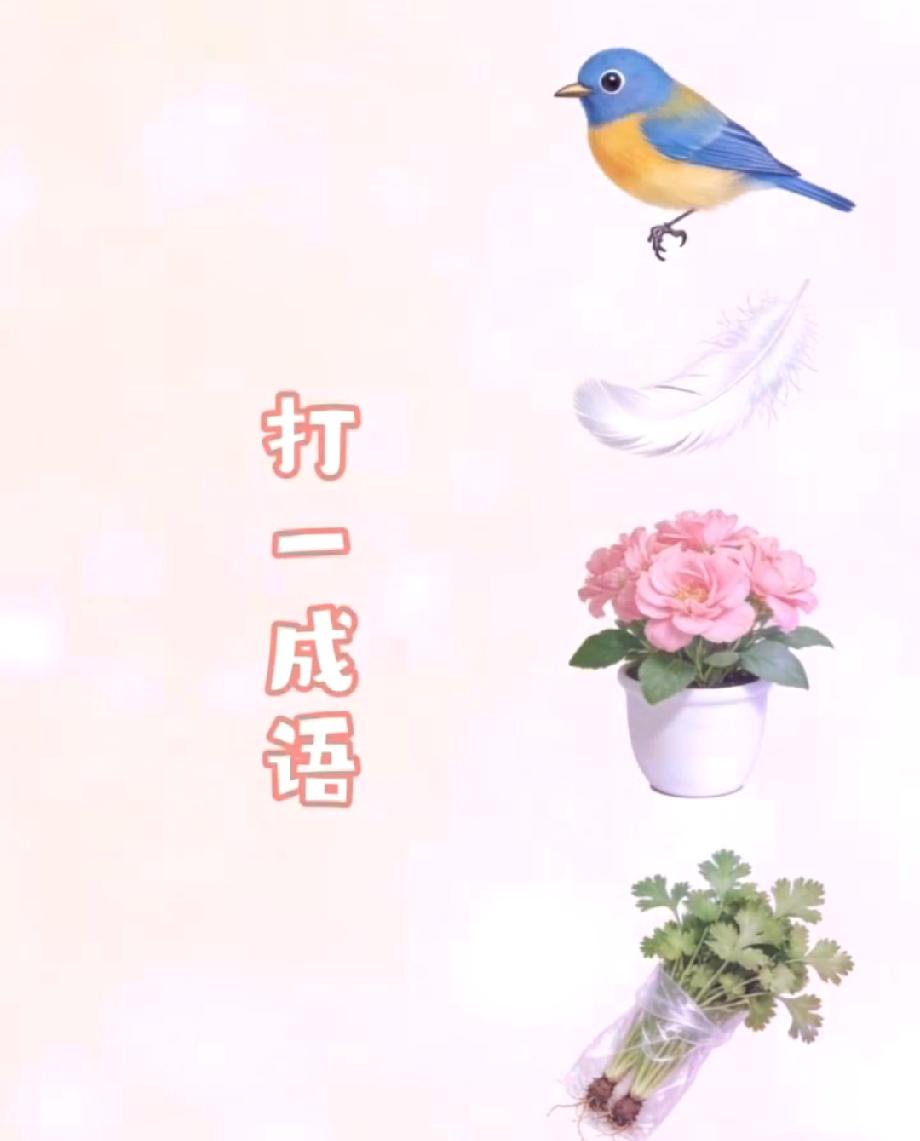  全网都在猜的脑洞题！鸟毛花菜拼出的成语，评论区说说你的答案！