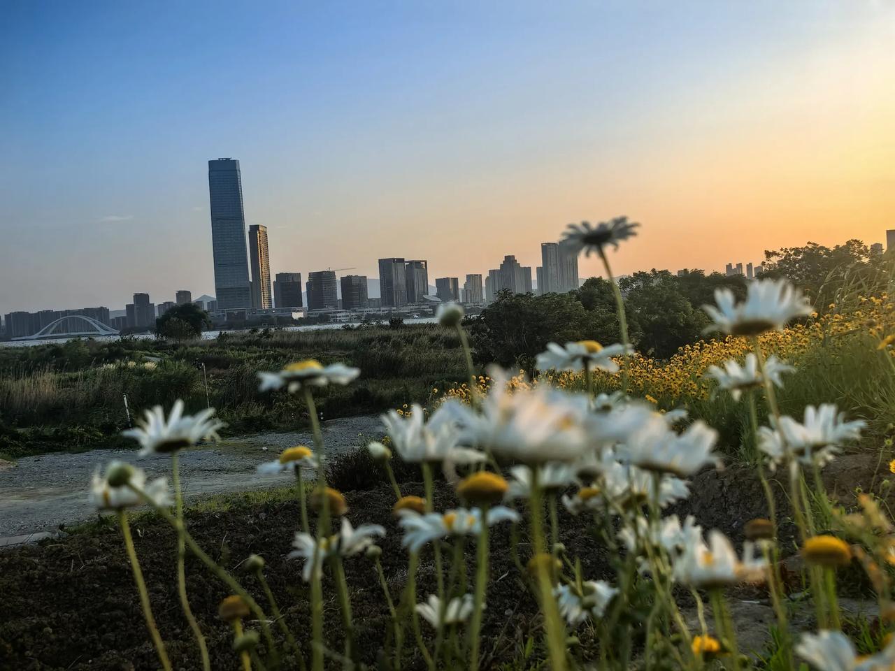 把这个任务交给江南大学如何？最近，有热心宜兴市民提议，应该在东氿范蠡大桥西侧、江