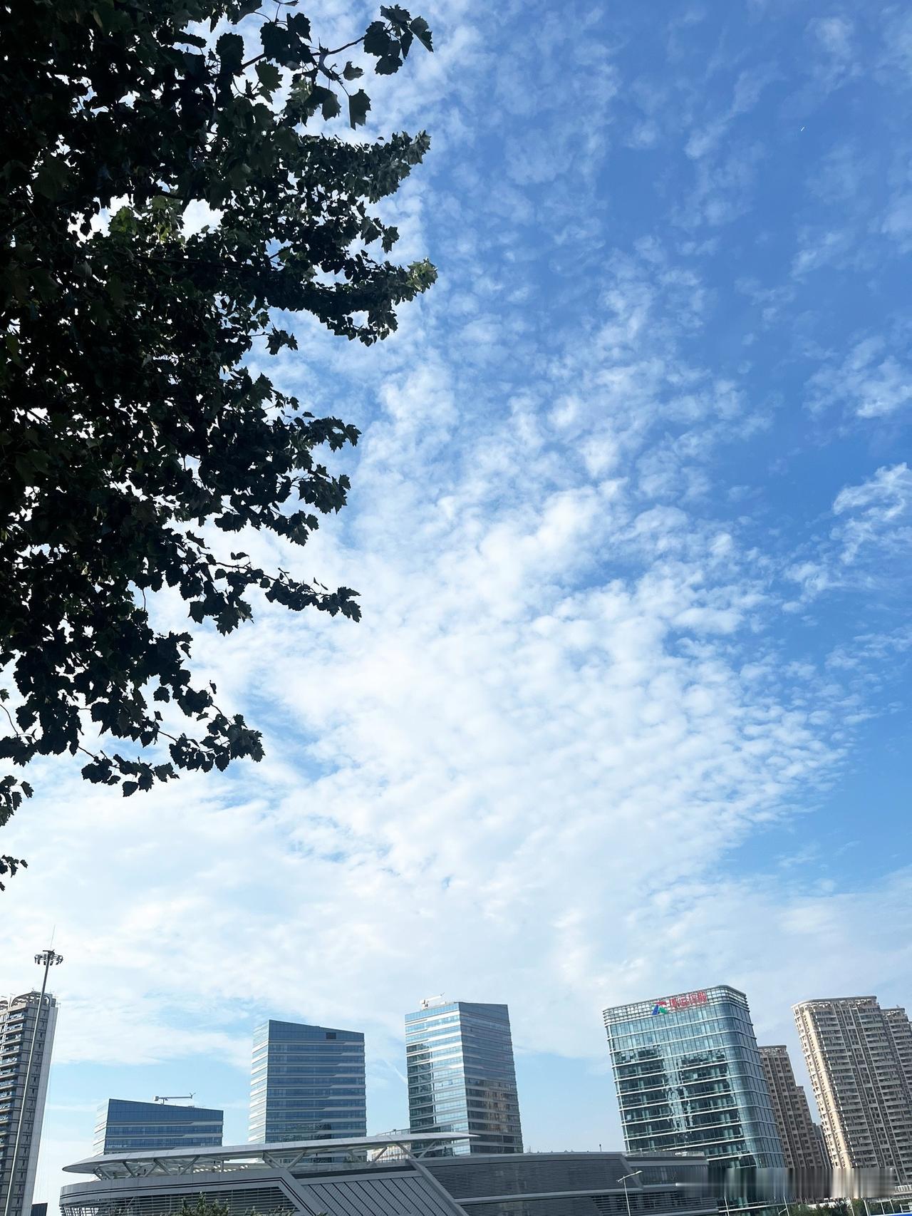 其实，不用特意找风景，抬头就撞见了今日份免费的浪漫。