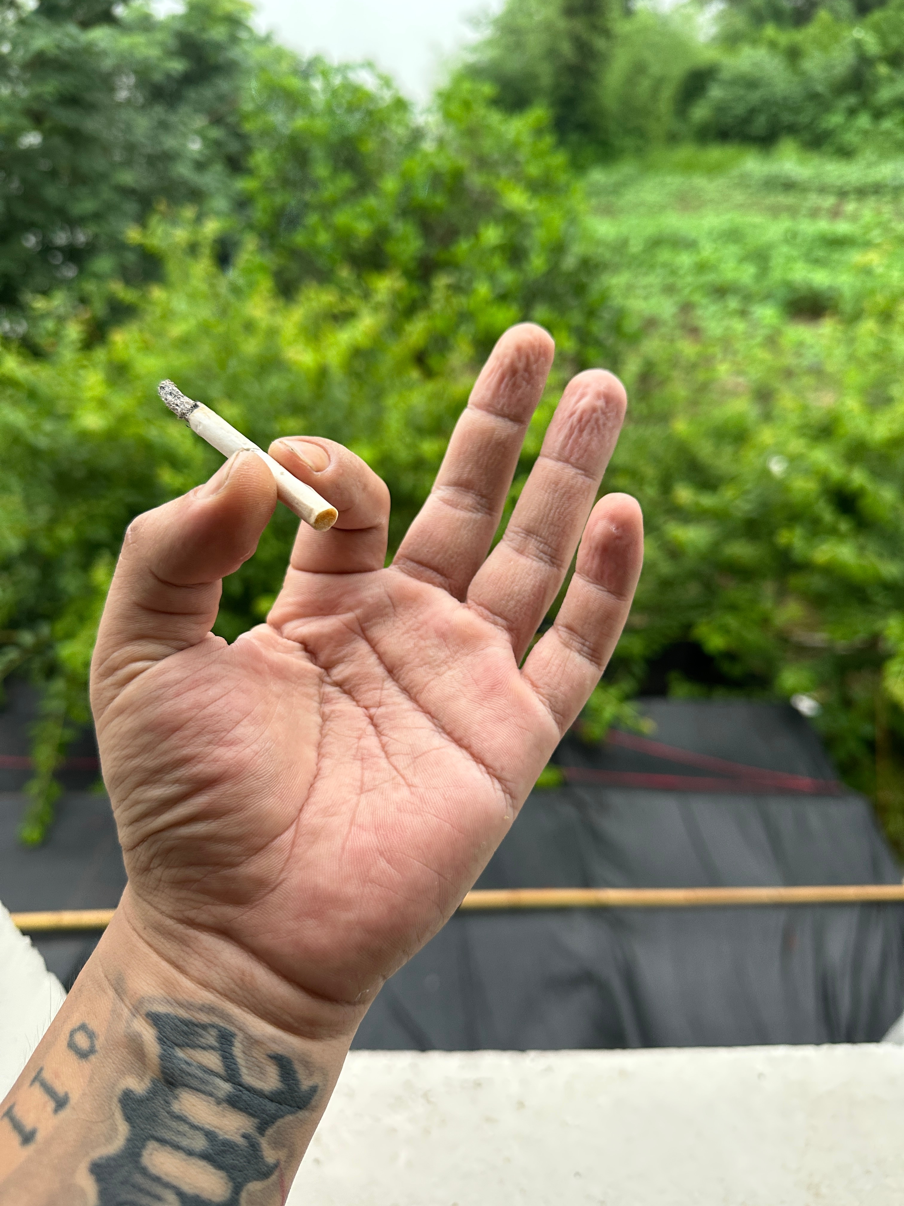 好久没有干过家务了。什么磨刀啊，开锅啊… 