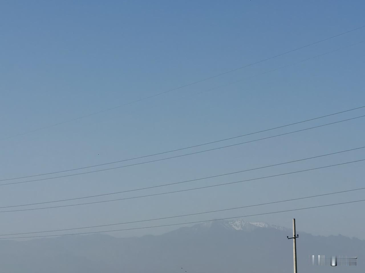 今天远处拍到太白山上的积雪，真真切切体会到了“太白飞雪六月天”的奇景。秦岭初冬雪