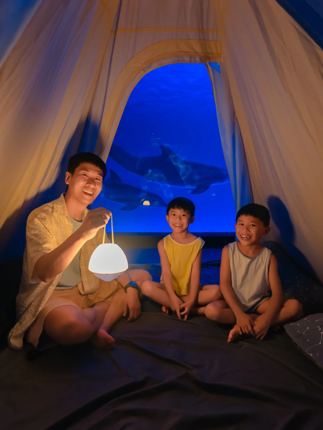 说真的，夜宿海洋馆才是海南最值的项目！