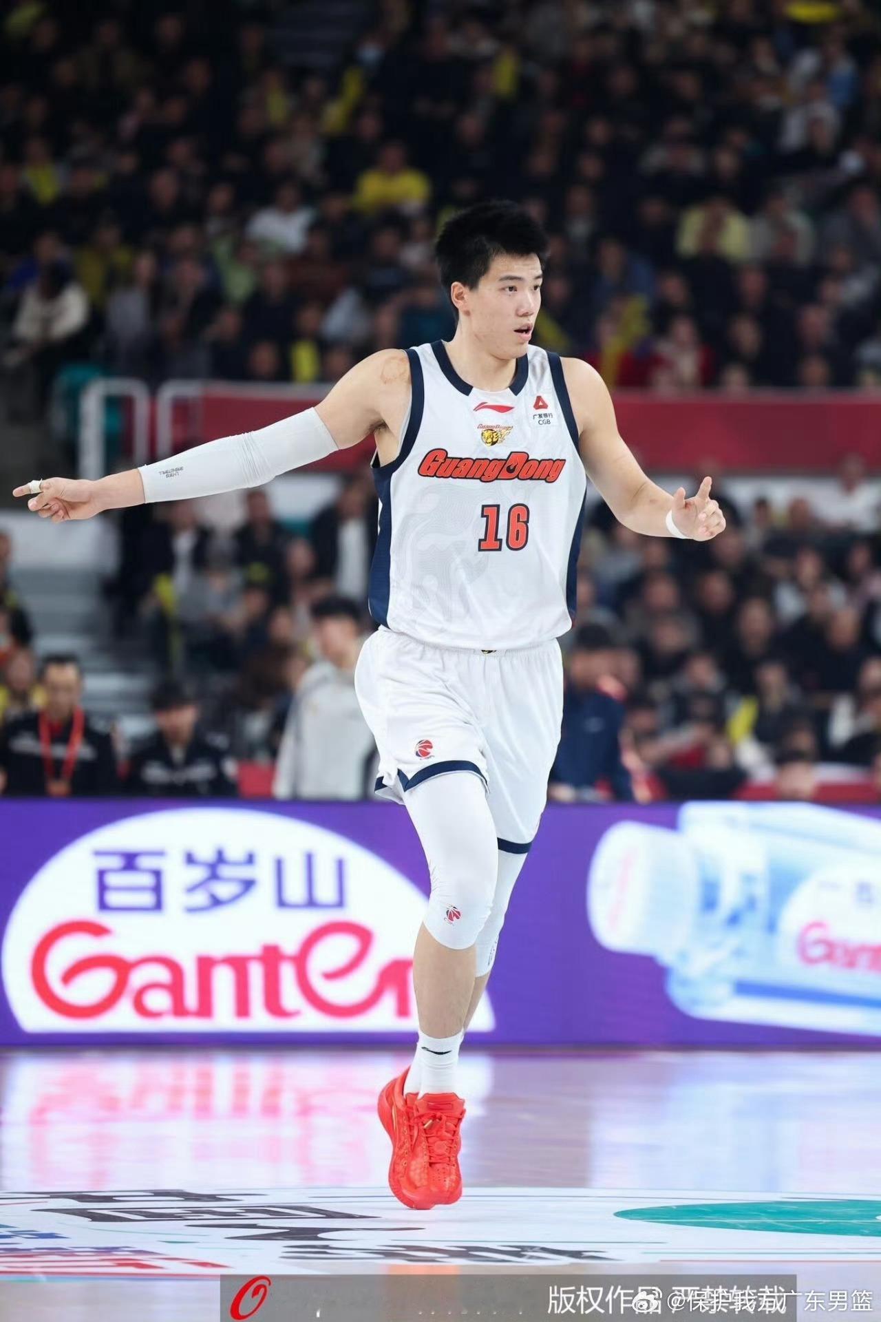 焦泊乔已在本周归队。cba