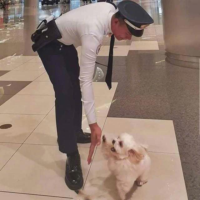 给你一个high five