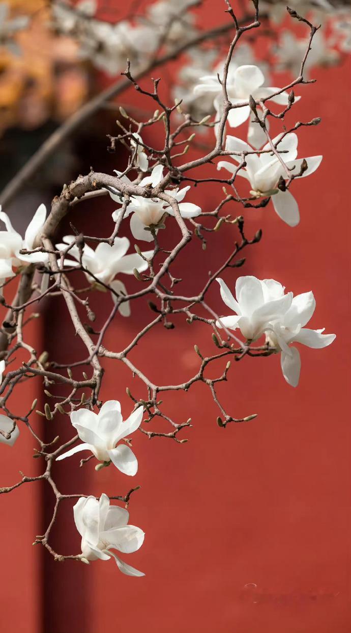 香气飘飘白玉筵，翠微红缕绣芙蓉 ..."