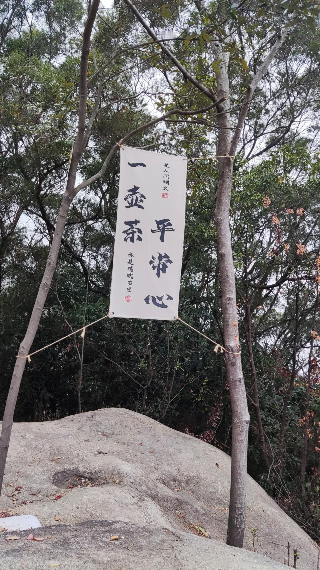 亲情与友情，哪个更重要？

大家好，我是你们的生活观察者。面对“亲情和友情哪个更