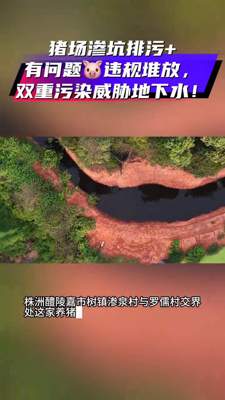 猪场渗坑排污+有问题违规堆放，双重污染威胁地下水！
株洲醴陵嘉市树镇渗泉村与罗儒