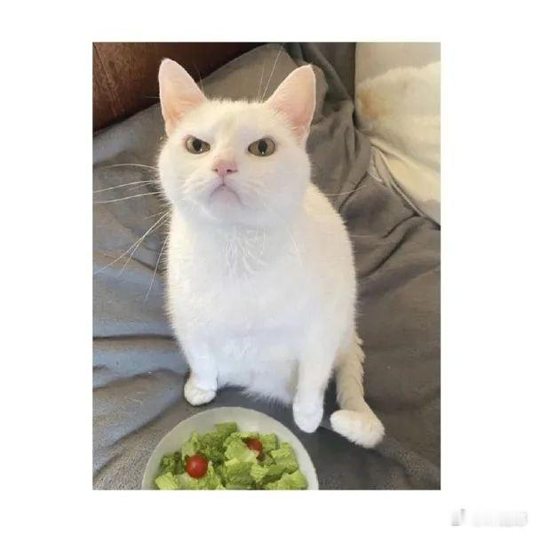 你就给我吃这个吗？ ​​​