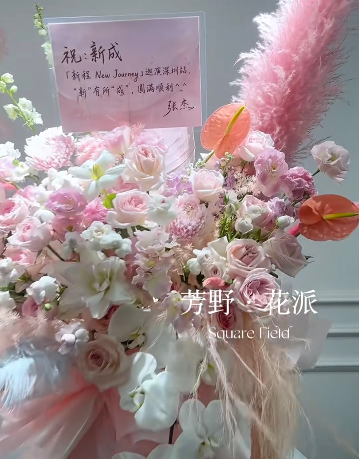 张杰老师又送花啦这个粉粉的好少女~ 