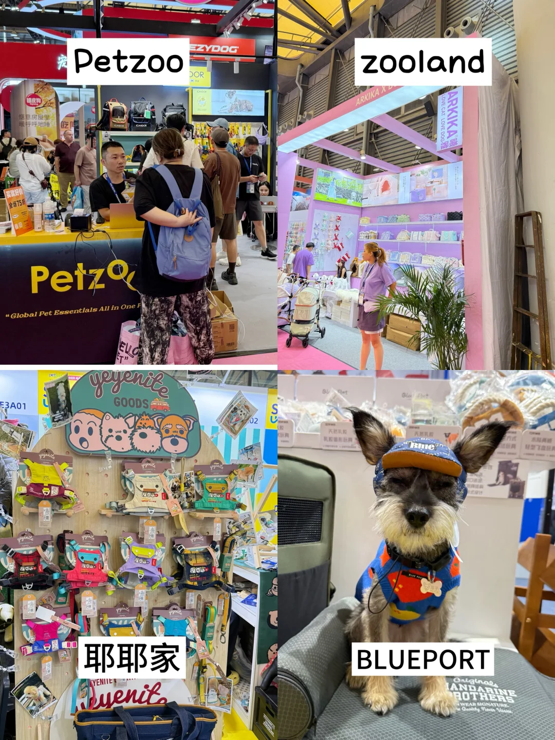 养宠人怎么能不去亚宠展