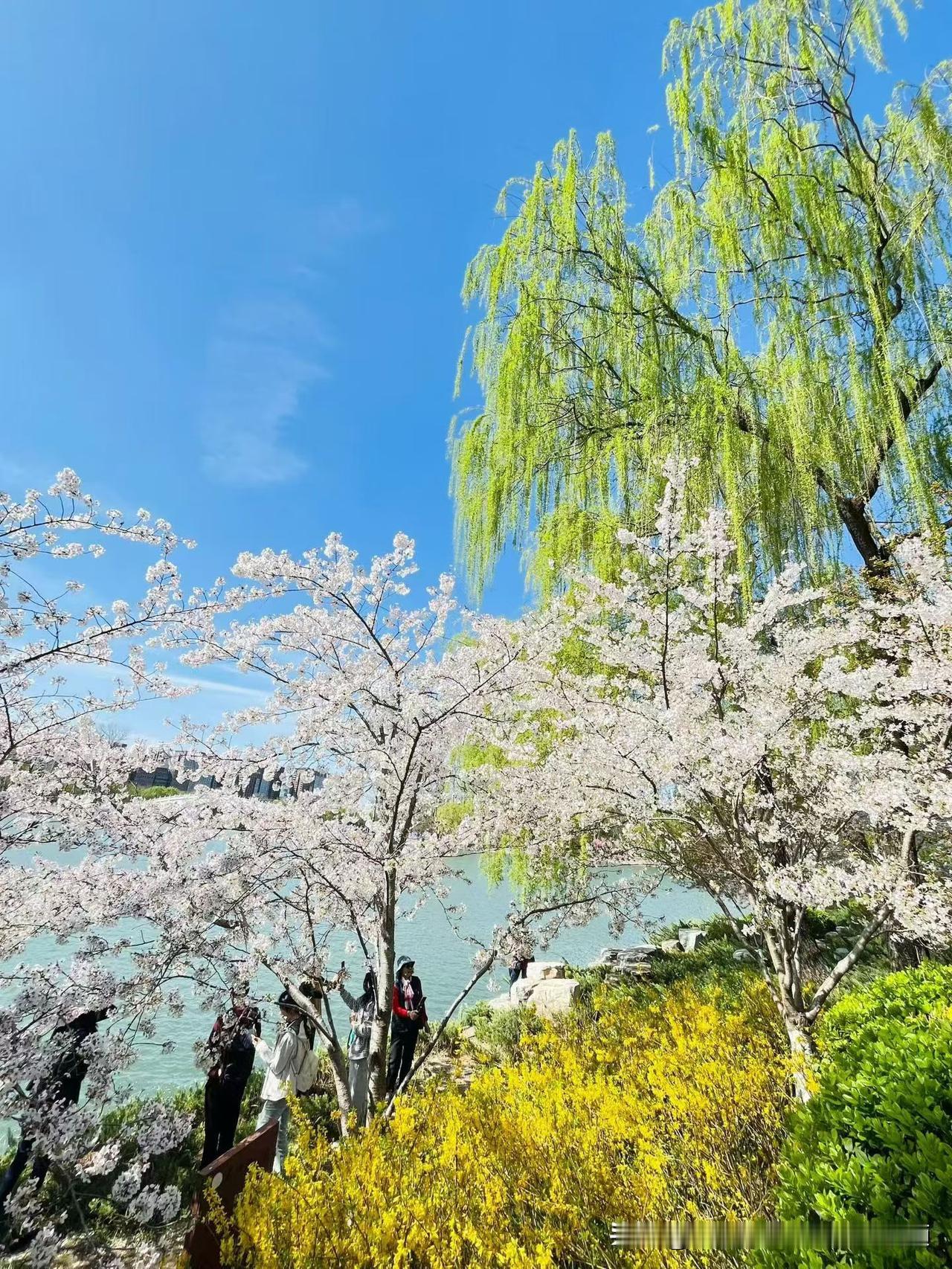 分享你的花花出来，一起观赏吧！治愈花朵自拍
