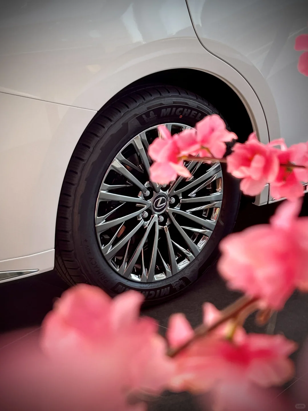 LEXUS｜LM 车里有春风，车外有樱花🌸