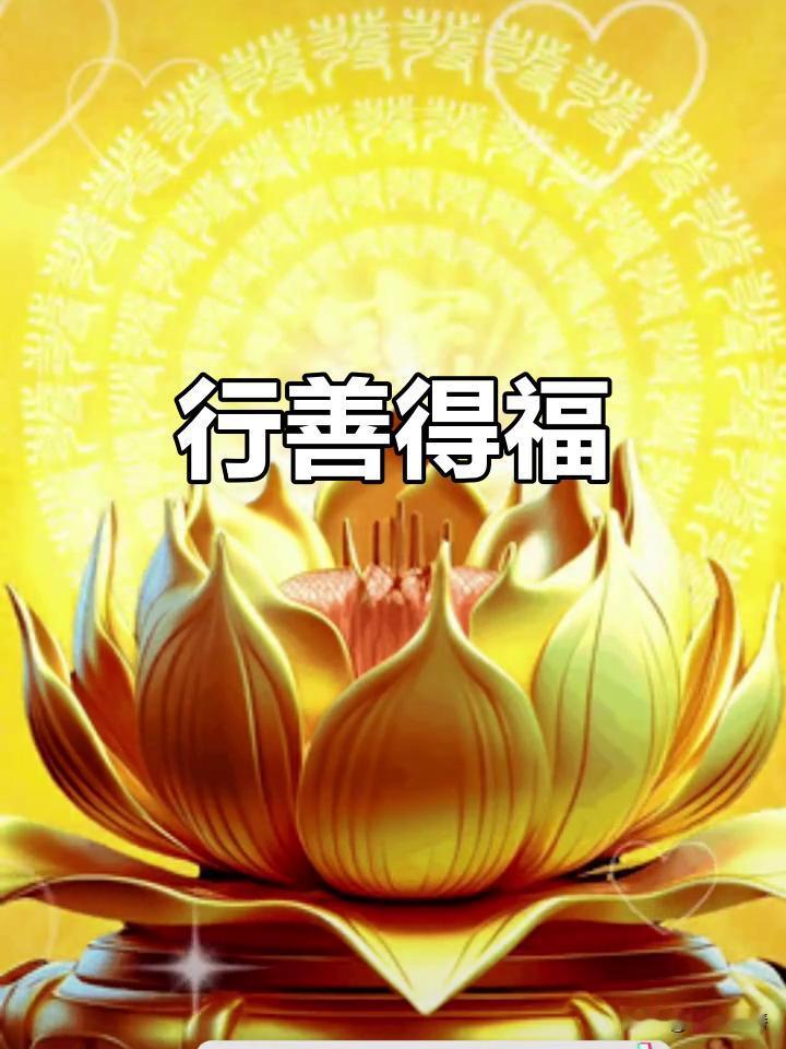 你的善良，
人不知，天知。
到最后都会变成人生路上的惊喜和好运，
举头三尺有神明