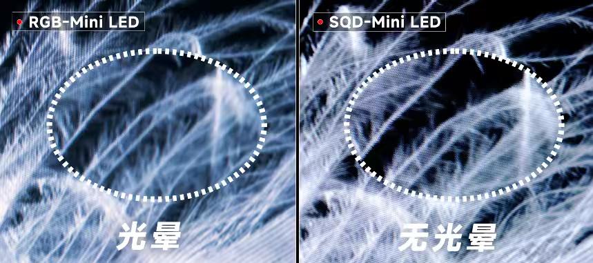 实测对比，RGB和SQD多维度对比真相揭秘

最近电视圈两大技术，也就是RGB-