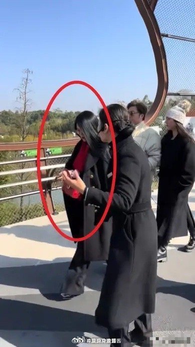 终于理解了李湘为什么每天都是披衣服了。 ​​​