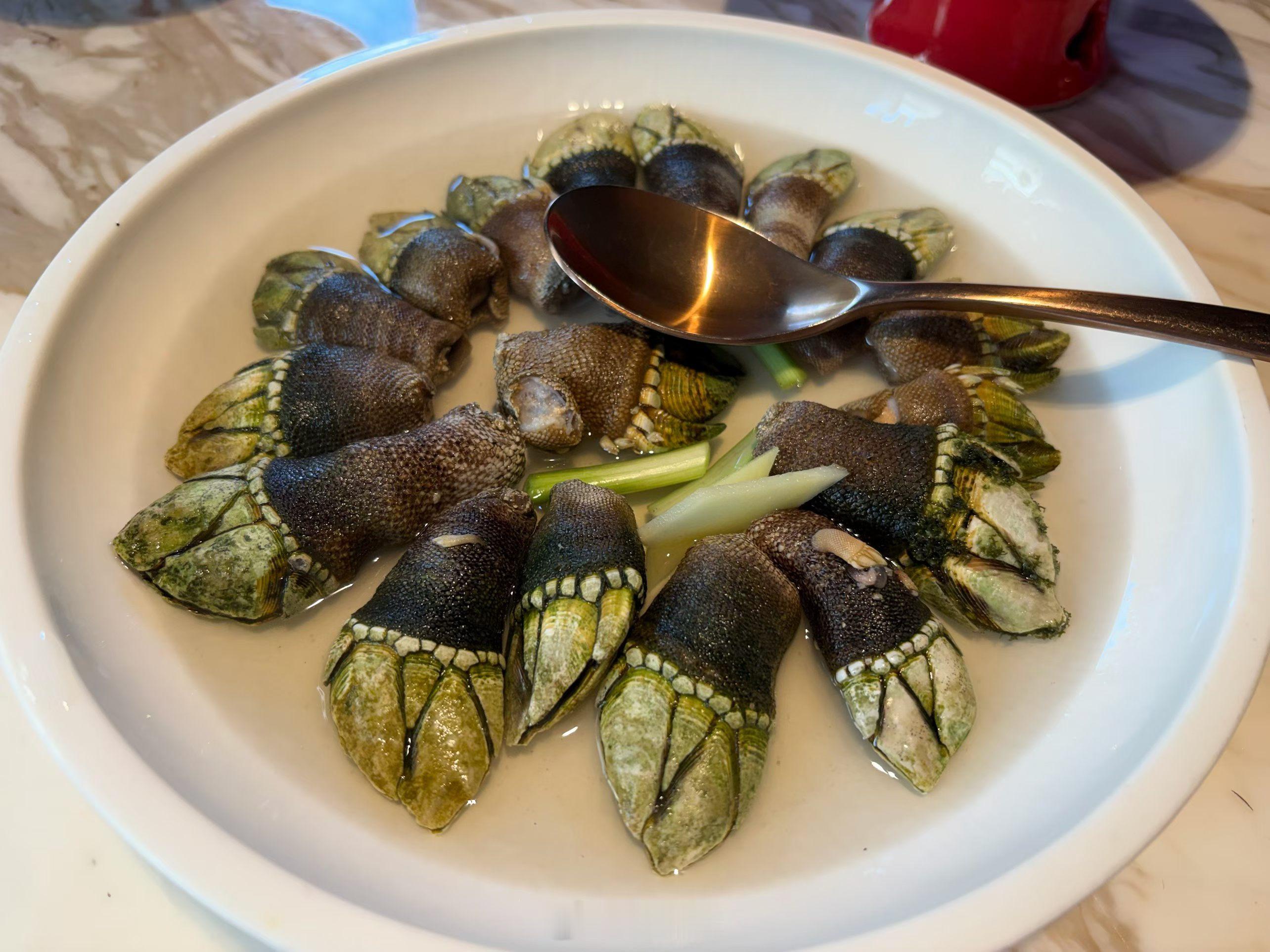 长相奇特的大海馈赠佛手螺，样貌虽古怪，白灼之后，一口尝尽大海的鲜甜。俞锋有话说 