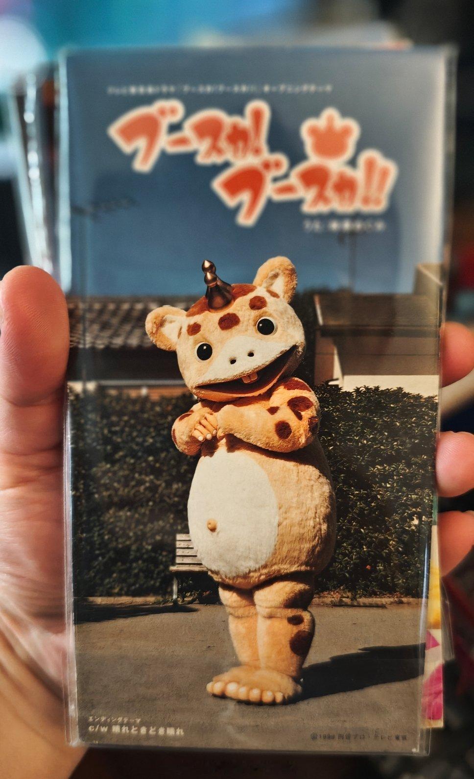 整理cd整理出来一张布斯卡