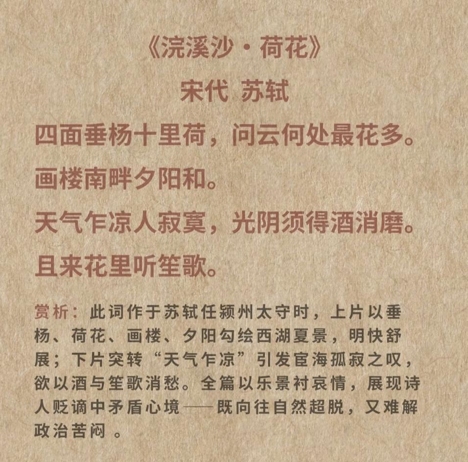 4首荷花古诗词，邀君共赏~古人笔下的荷，不与春争艳，不与夏争烈，静静立于水中，自
