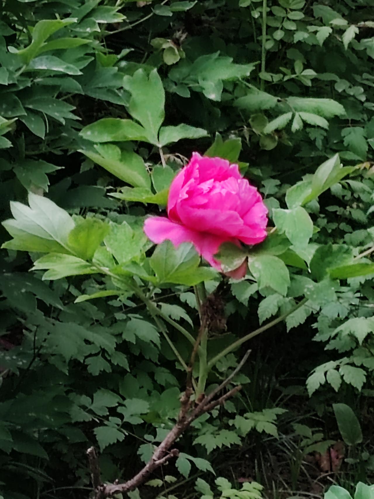 上联：岁月长河风风雨雨，诚邀下联人生过客暮暮朝朝。