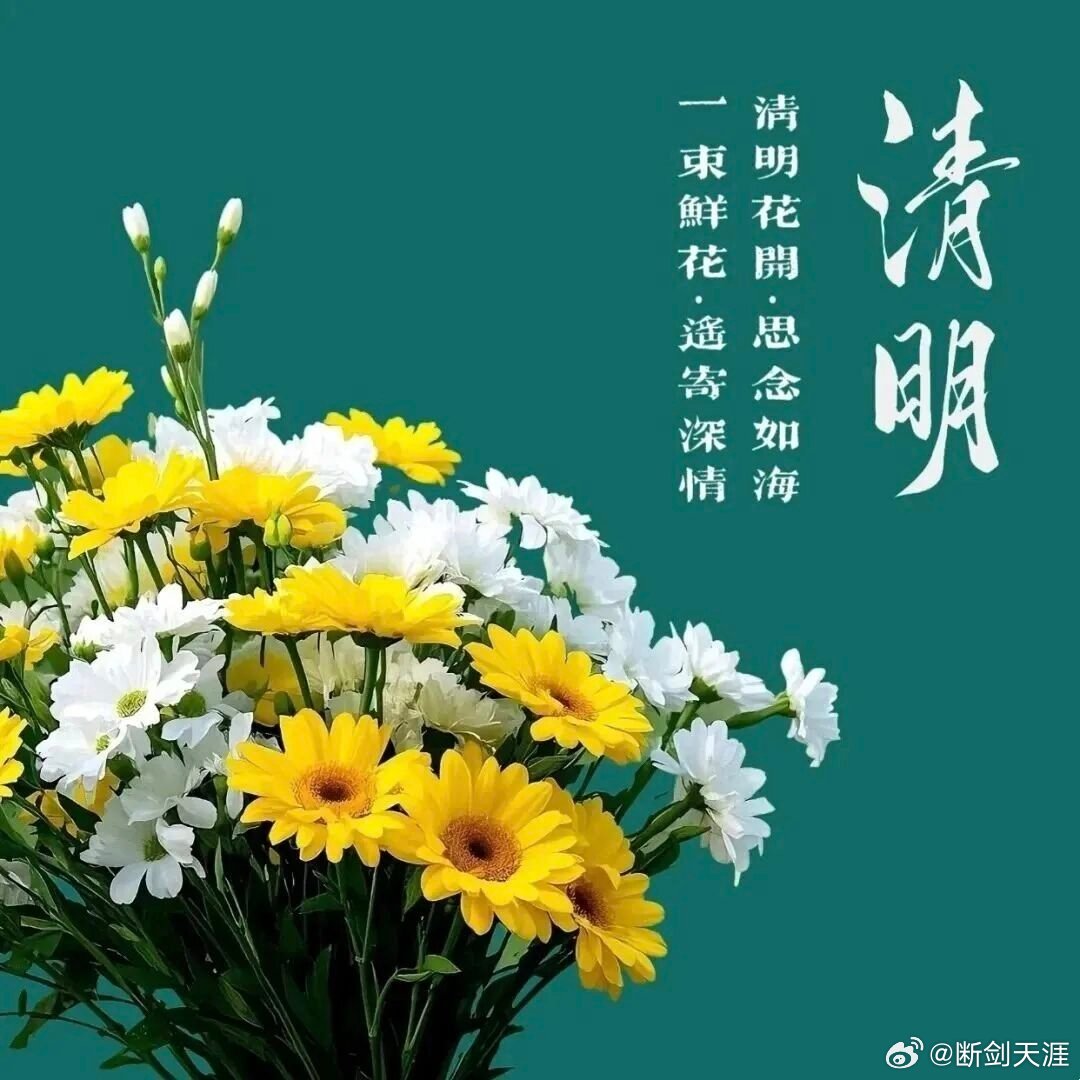 清明寄哀思，缅怀故人，不负时光，在春日里珍惜当下，愿岁月温柔，平安顺遂。