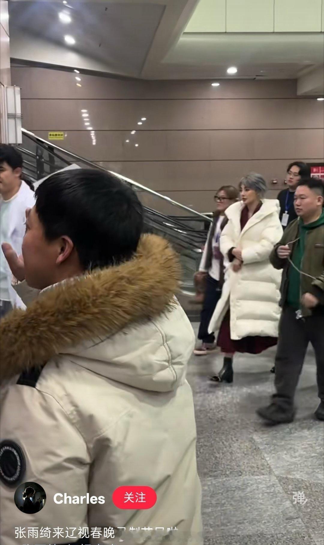 张雨绮参加辽宁春晚被抵制了 张雨绮 辽视春晚 张雨绮 闫学晶 张雨绮因为闫学晶参