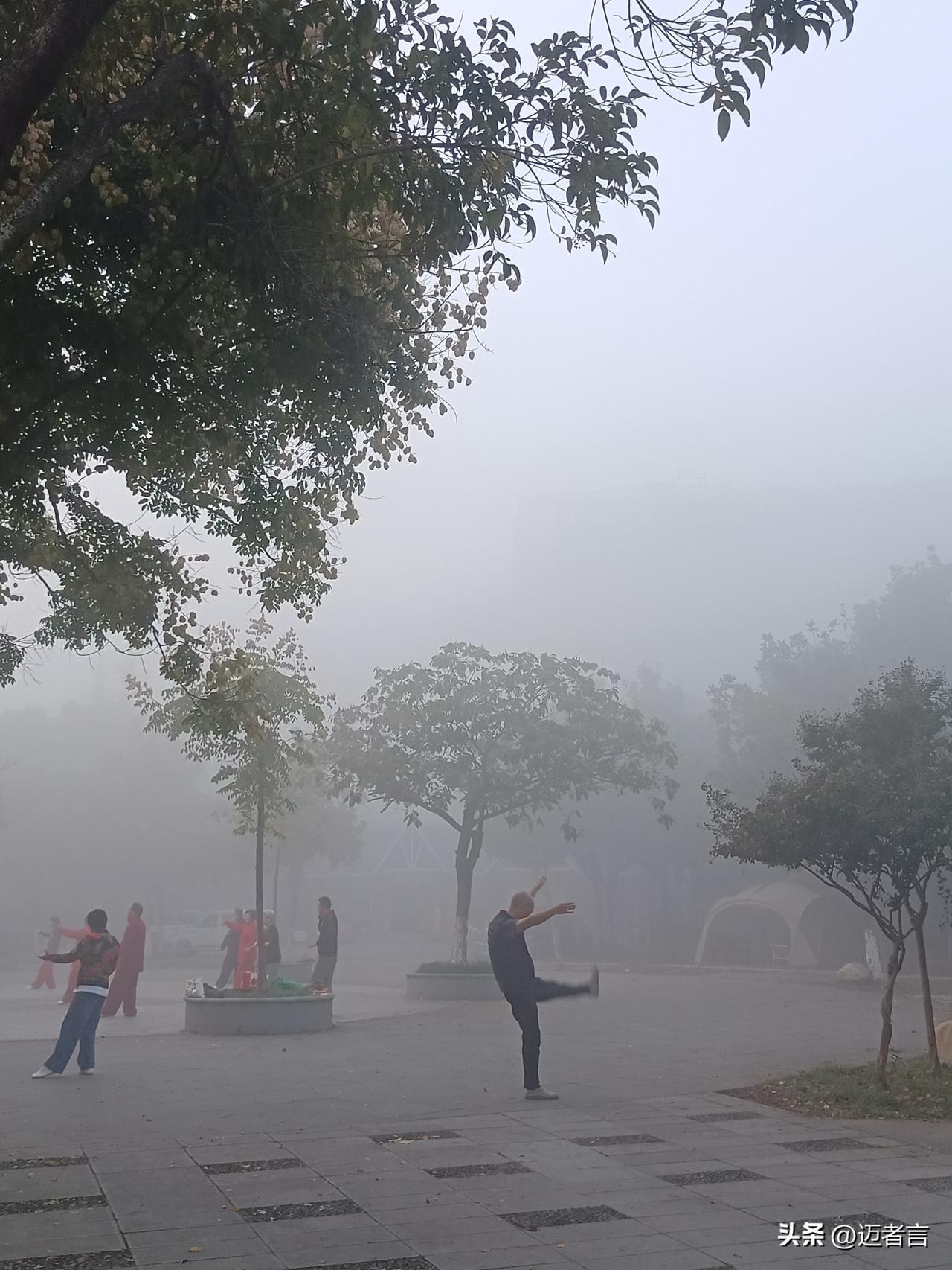 白河之湄   览物之情
（二十七）、雾失楼台，月迷津渡

晨，推开窗，满目雾霾，