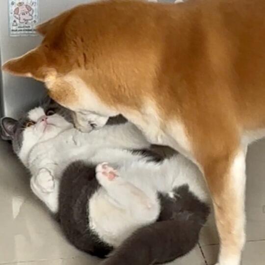 你俩有点暧昧了哈