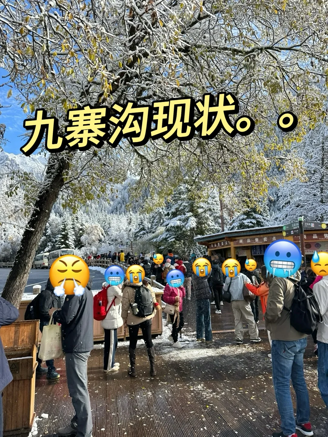 11.21📍九寨沟崩溃已回，真心建议没来的姐妹