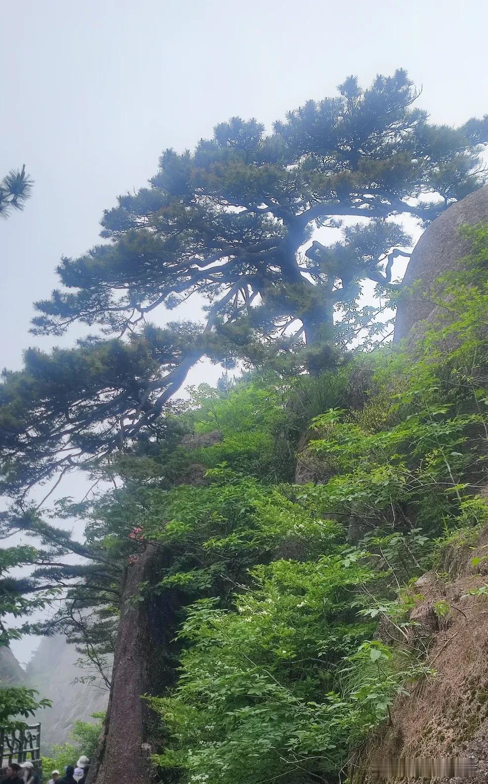小岗村的歪风邪气。
沈浩书记来到小岗村，发现一个很糟糕的事情。原本属于具体的20